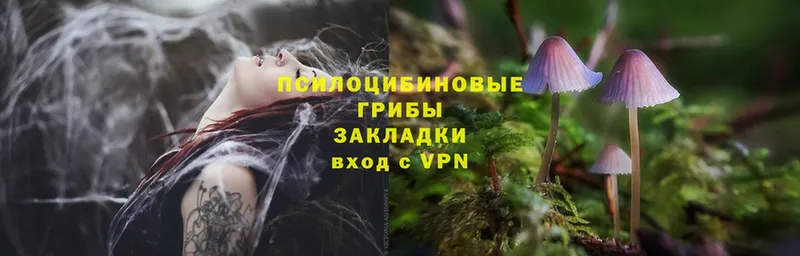 Галлюциногенные грибы Magic Shrooms  mega как войти  Тулун 